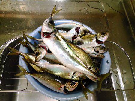 岩屋一文字で一泊